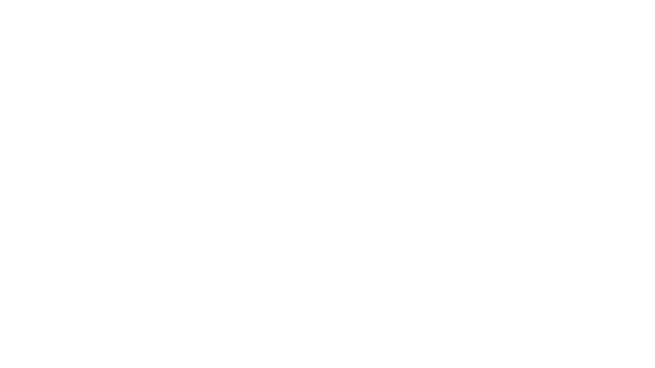 Shelby Lights