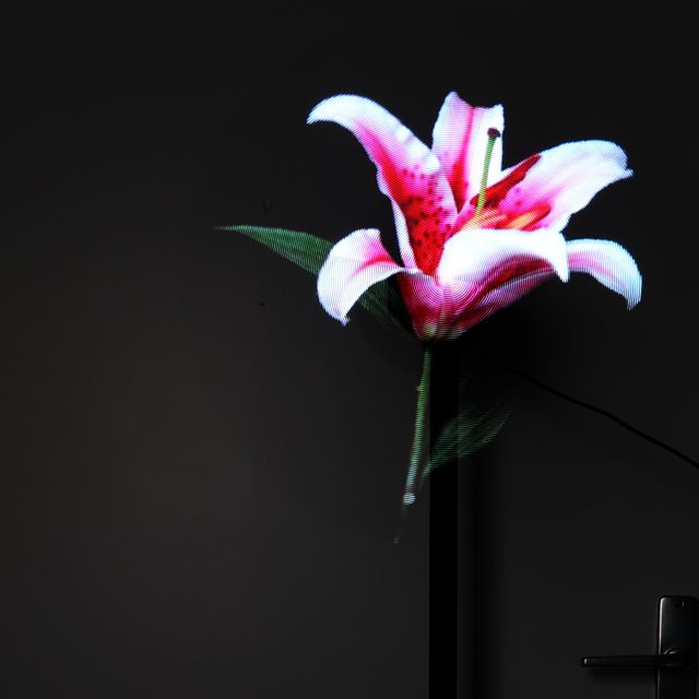 Hologram van een roze lelie